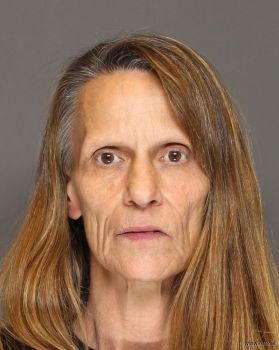 Sherrie Lynn Hecimovich Mugshot