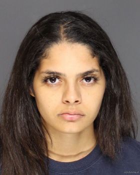 Sierra Rose Sullivan Mugshot