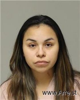 Tina Michelle Thunder Hawk Mugshot