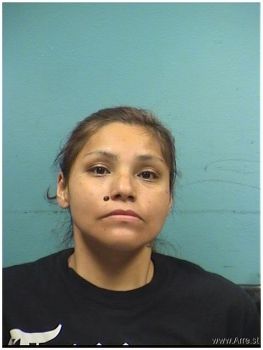 Tonya Marie Jones Mugshot