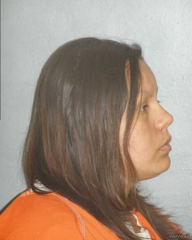 Teena Charlene Lapointe Mugshot