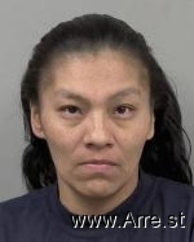 Teresa Lynn Solis Mugshot