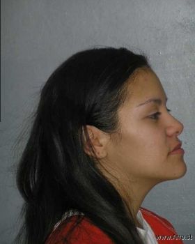 Terese Renae Madigan Mugshot