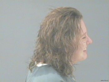 Theresa Ann Johnson Mugshot