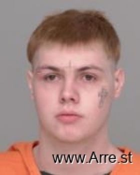 Timothy Michael Nelson Mugshot