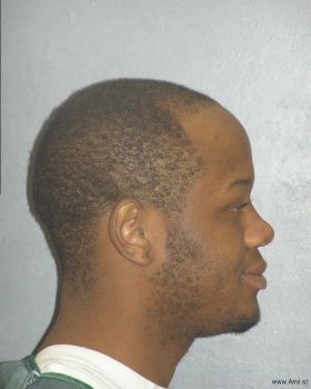 Timothy Eric Robinson Mugshot