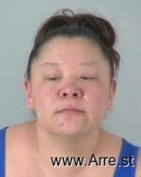 Tina Marie Anderson Mugshot