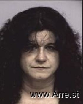 Tracey Lynn Volkman Mugshot