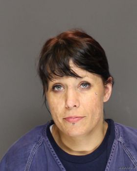 Tracy Lynn Karlovich Mugshot