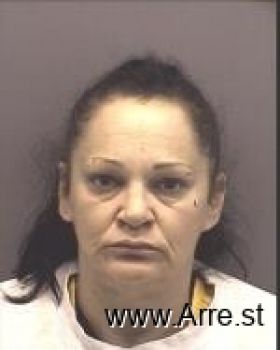 Tracy Ann Knipper Mugshot