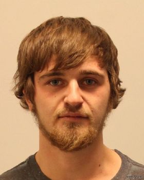 Tyler John Borstner Mugshot