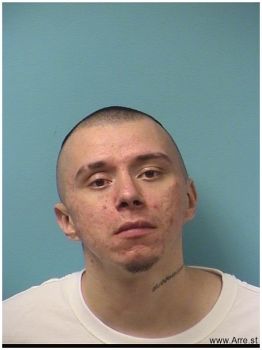 Vincent James Beaulieu Mugshot