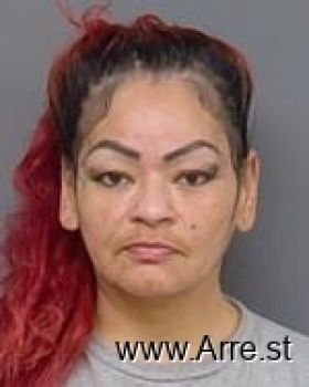 Vanessa Renee Stillday Mugshot