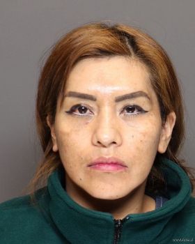 Viviana Rocio Lemacaluna Mugshot