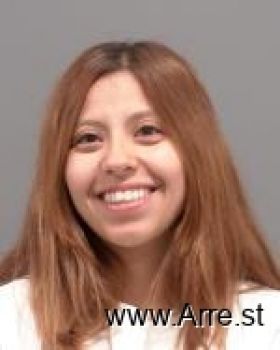 Yessenia Noemy Galvan Mugshot