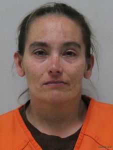 Amanda Delzer Arrest Mugshot