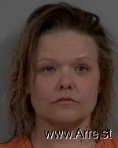 Amber Anderson Arrest Mugshot