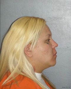 Amy Obrien Arrest