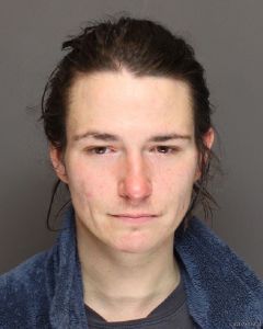 Ashlyn Flodquist Arrest Mugshot