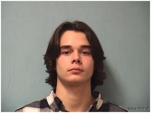 Benjamin Olson Arrest