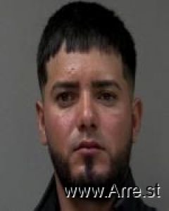 Berman Palacios Arrest Mugshot