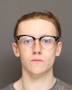 Bradley Cox Arrest Mugshot