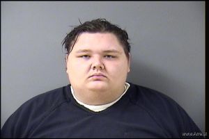 Bradley Olson Arrest Mugshot