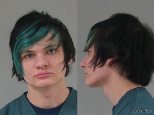 Brandon Hobbs Arrest