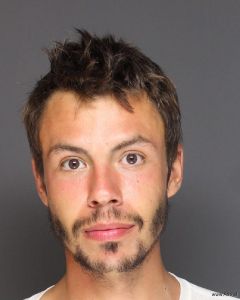 Brandon Valley Arrest Mugshot