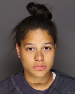 Breeanna Rouillard Arrest Mugshot