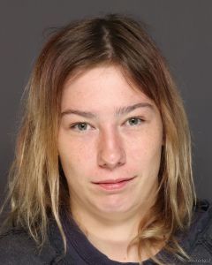 Brianna Dankers Arrest
