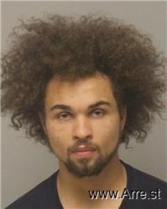 Cole Meadows Arrest