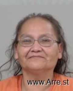 Connie Fahlstrom Arrest