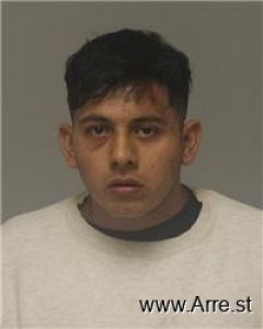 Damian Altamirano Arrest Mugshot