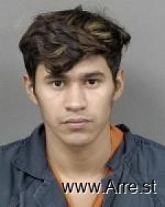 Elmer Rayo-polanco Arrest Mugshot