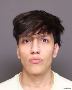 Fransua Posliguabustamante Arrest Mugshot