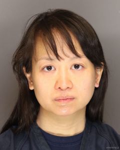 Gau Lee Arrest Mugshot