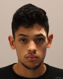 Gesvin Estrada Arrest