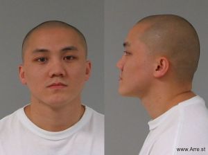 Grogan Yang Arrest Mugshot