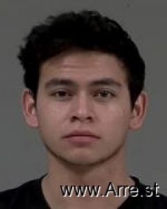 Gustavo Tholke Arrest Mugshot