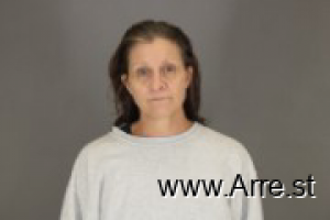 Heidi Fredricks Arrest Mugshot