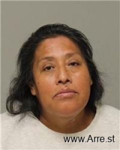 Ines Zaragoza Pancho Arrest Mugshot