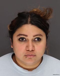 Jenifer Sanchez-medina Arrest Mugshot