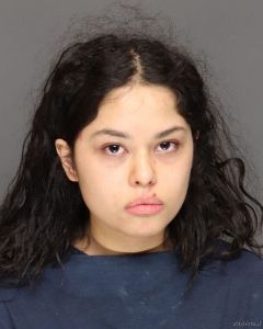 Joanna Mendoza Arrest