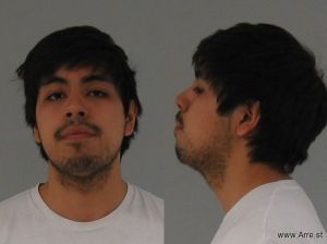 John Perez Arrest Mugshot