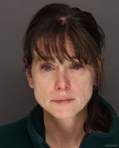 Lisa Hindes Arrest Mugshot