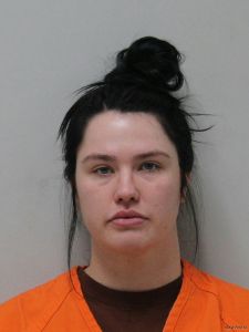 Liza Mohr Arrest