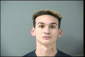 Logan Mattson Arrest Mugshot