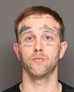 Logan Thompson Arrest