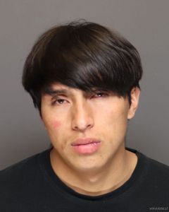 Luis Castroballarares Arrest Mugshot